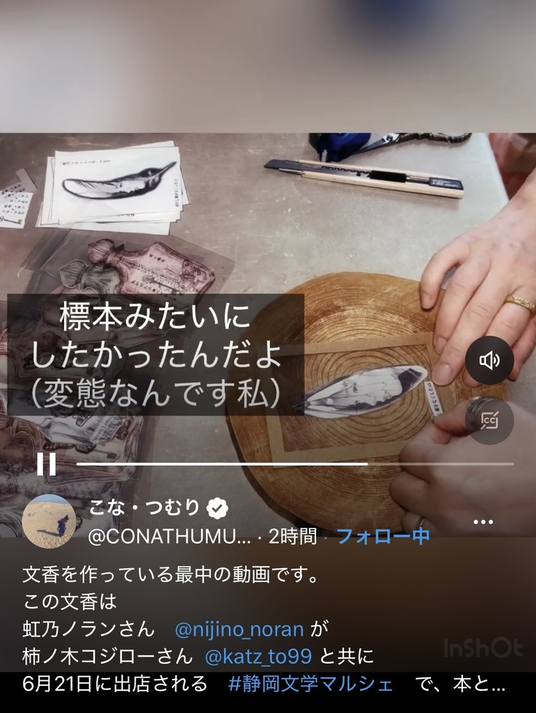 【特典つき】「文・ふわか ~木もれ日~」『そのハミングは7』コラボセット