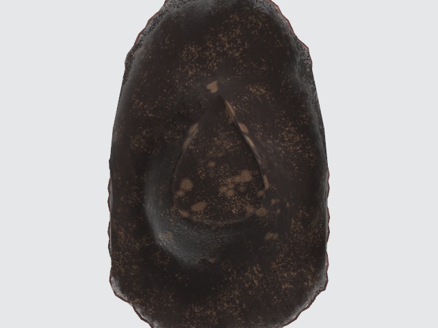 カウボーイハット 西部劇風 帽子