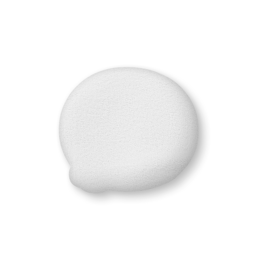 おねがいあざらし