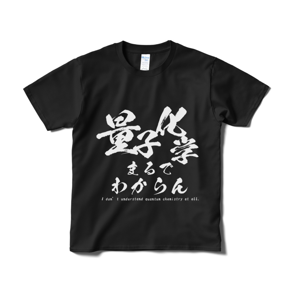 量子化学まるでわからんTシャツ(黒)