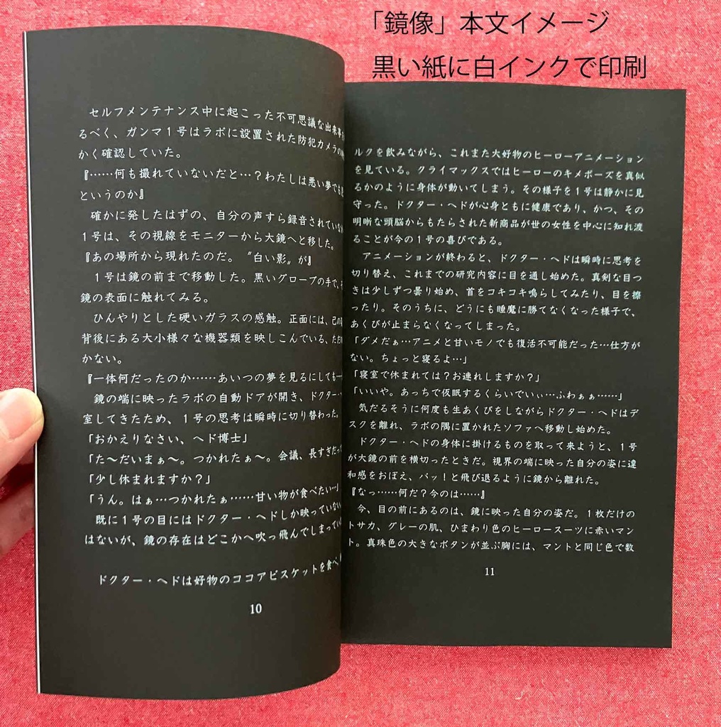 【既刊・単品:イチニゴ】鏡像