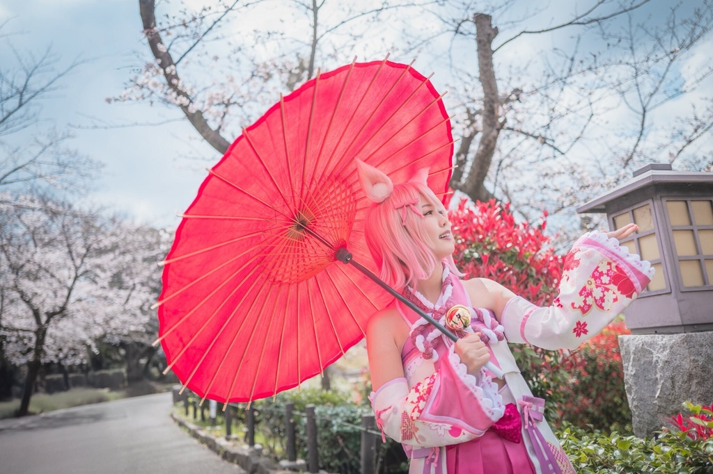白狐桜来