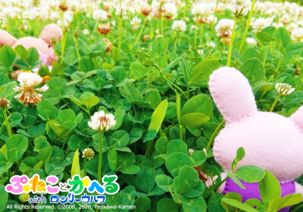 ちーちゃんとこげちゃんぬいぐるみ(イチゴのクッション付きv)