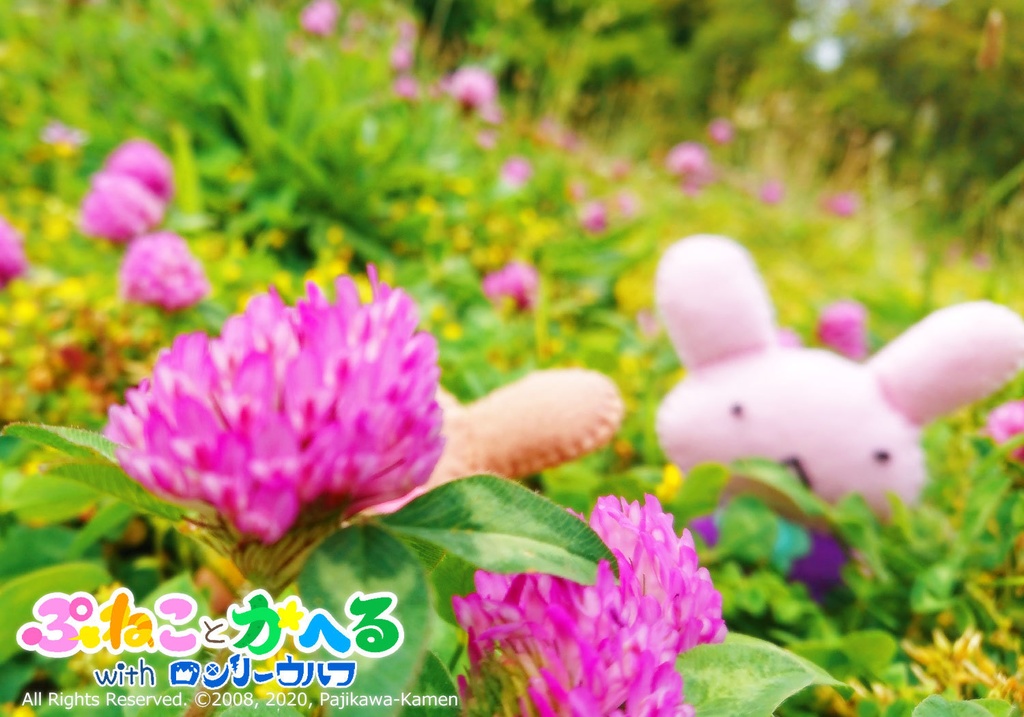 ちーちゃんとこげちゃんぬいぐるみ(イチゴのクッション付きv)