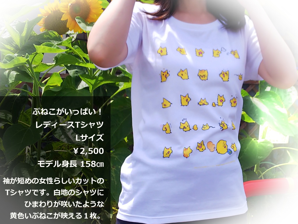 ぷねこがいっぱい!レディースTシャツ