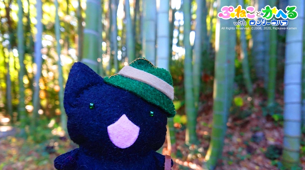 たびねこちゃんぬいぐるみ(限定絵本とハットと旅行カバンつきv)