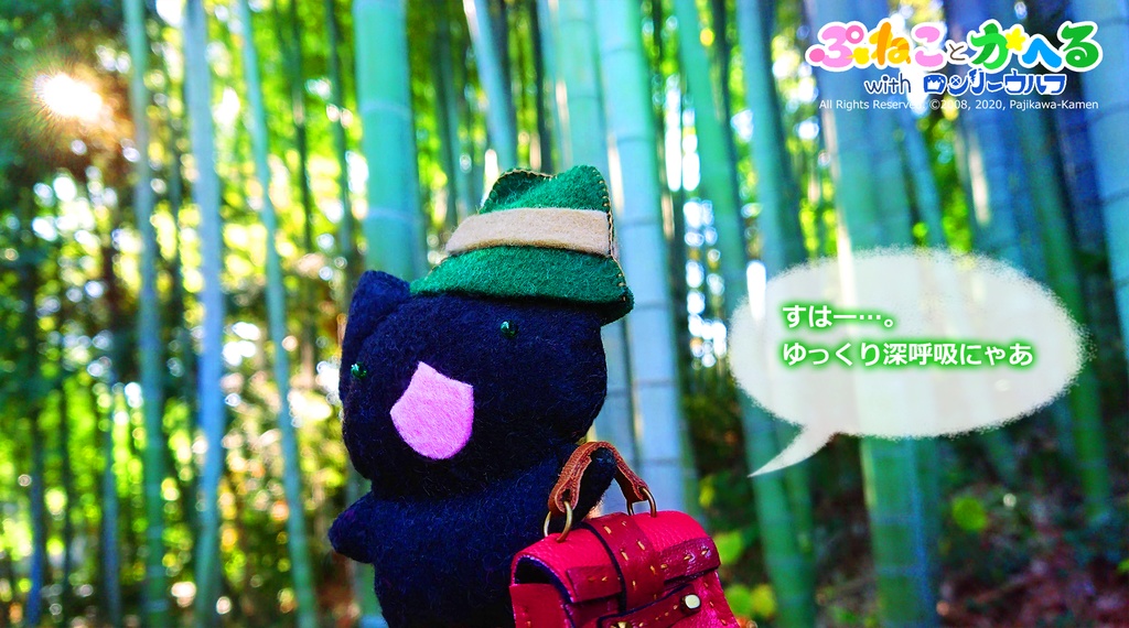 たびねこちゃんぬいぐるみ(限定絵本とハットと旅行カバンつきv)