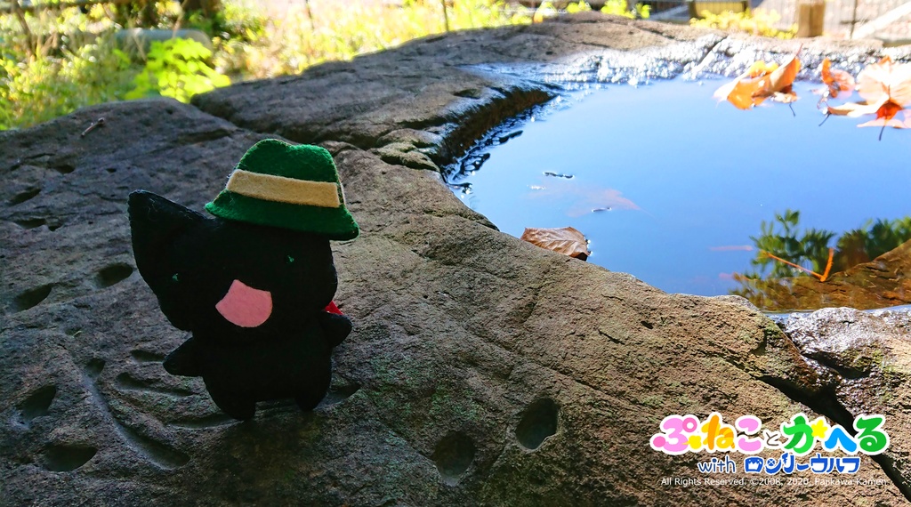 たびねこちゃんぬいぐるみ(限定絵本とハットと旅行カバンつきv)