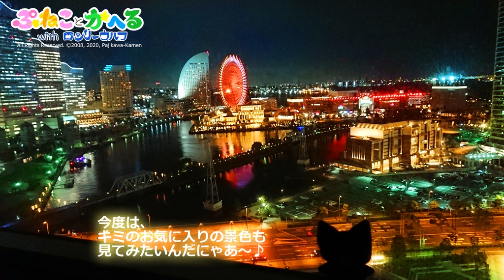 たびねこちゃんぬいぐるみ(限定絵本とハットと旅行カバンつきv)