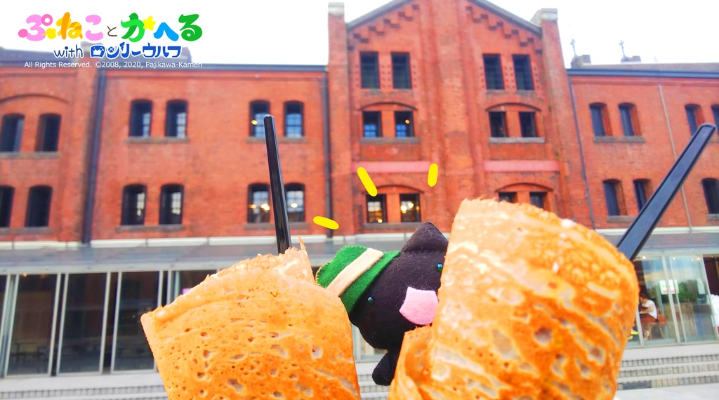 たびねこちゃんぬいぐるみ(限定絵本とハットと旅行カバンつきv)