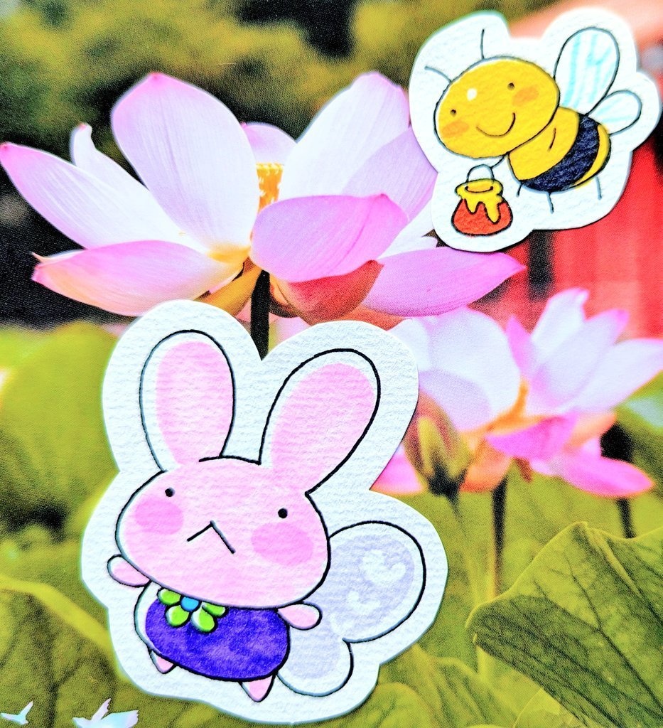 🧚‍♀妖精のちーちゃん🧚‍♂