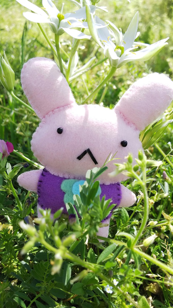 ちーちゃんとこげちゃんぬいぐるみ(ふかふかクッション付きv)