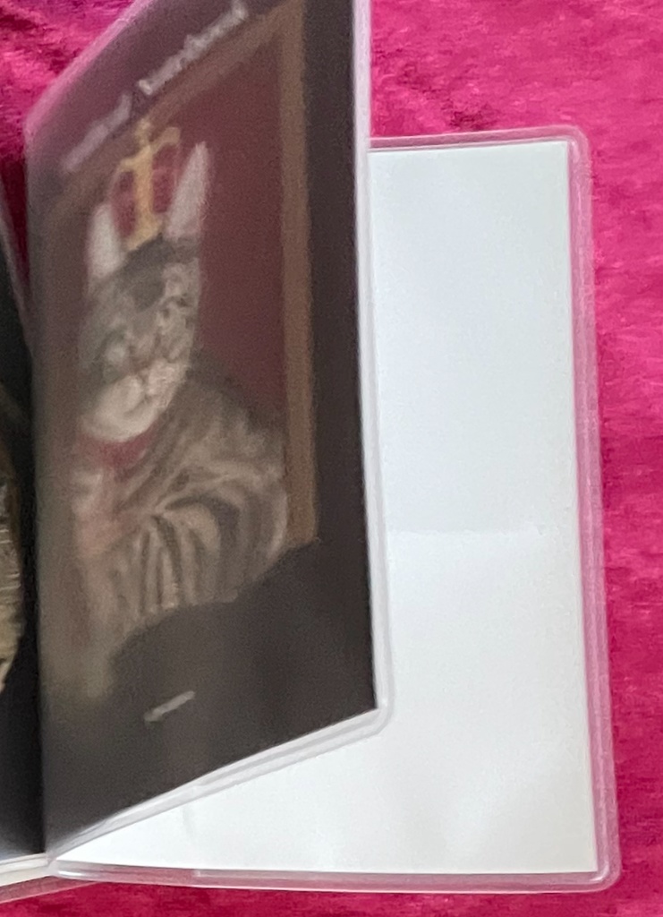 お薬手帳カバー 4種類