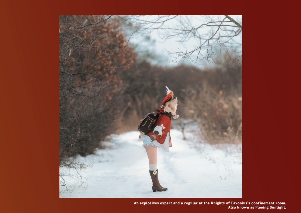 【C105新刊】ELEMENTAL RESONANCE