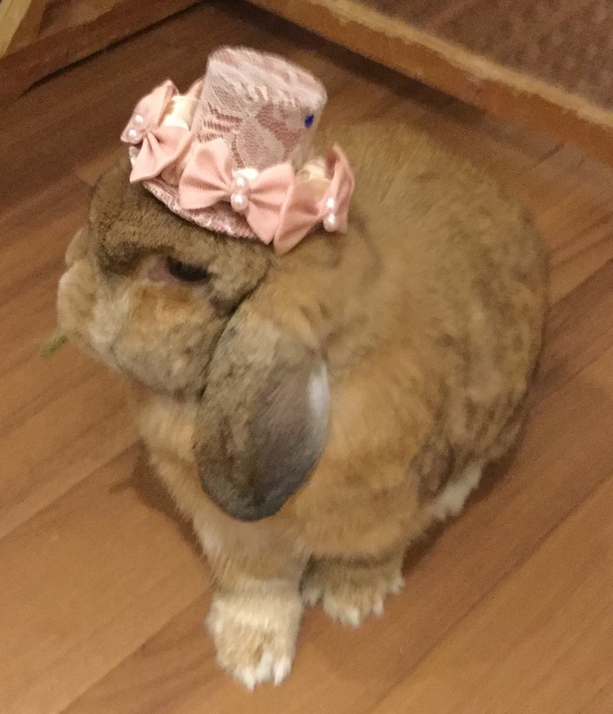 ミニハット(木漏れ日のお茶会)