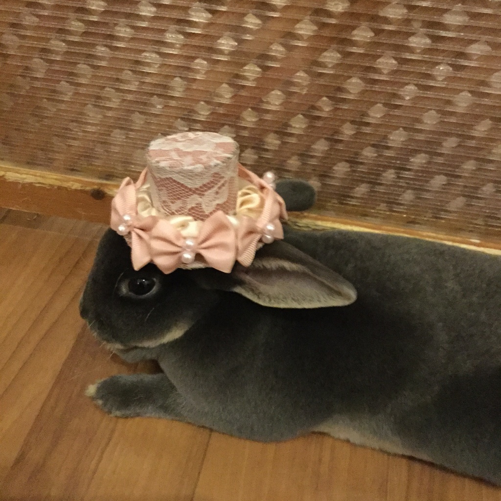 ミニハット(月と黒猫)