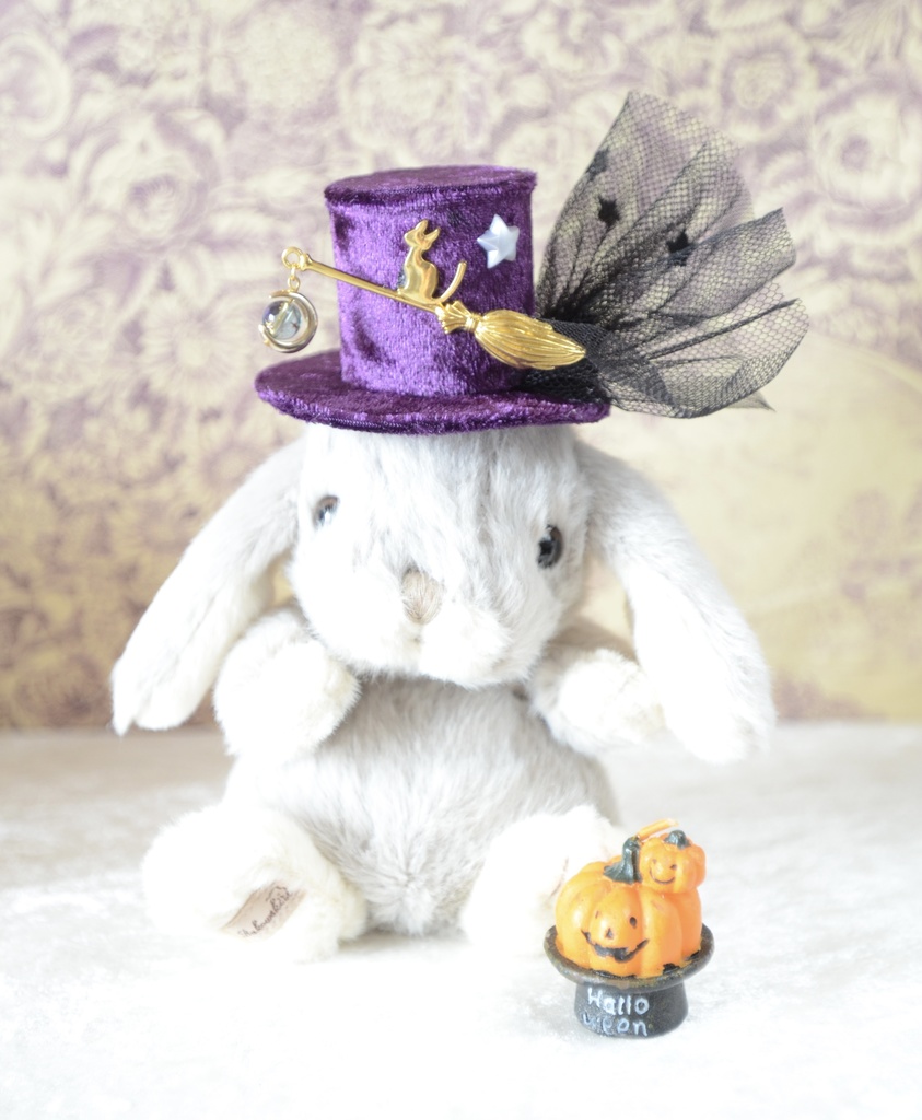 星のランタンを掲げて(パープル)