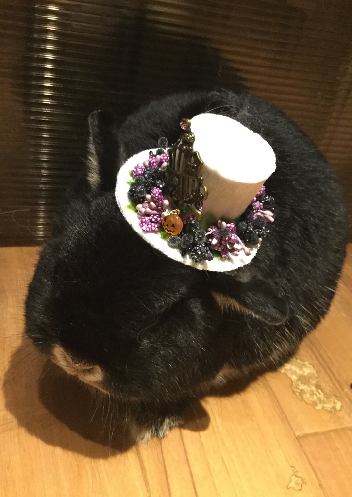 ミニハット(お星様とうさぎ・ブルー)