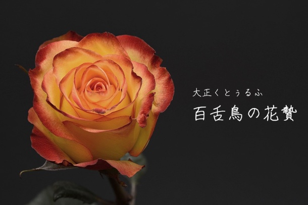 CoCシナリオ「百舌鳥の花贄」