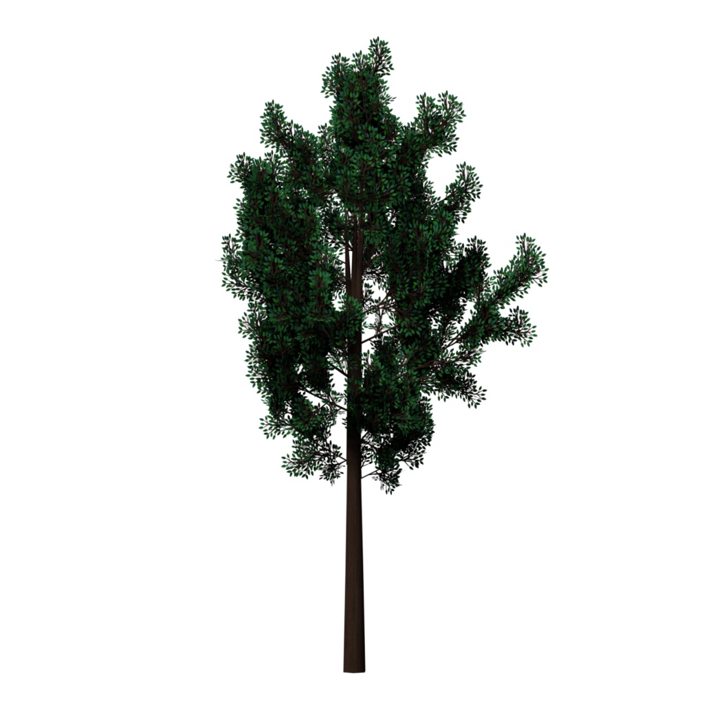 樹木&低木 / Trees & Shrubs