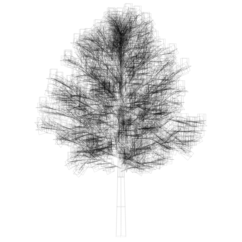 樹木&低木 / Trees & Shrubs