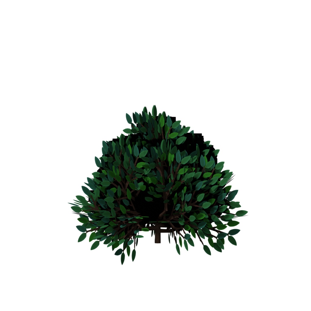 樹木&低木 / Trees & Shrubs