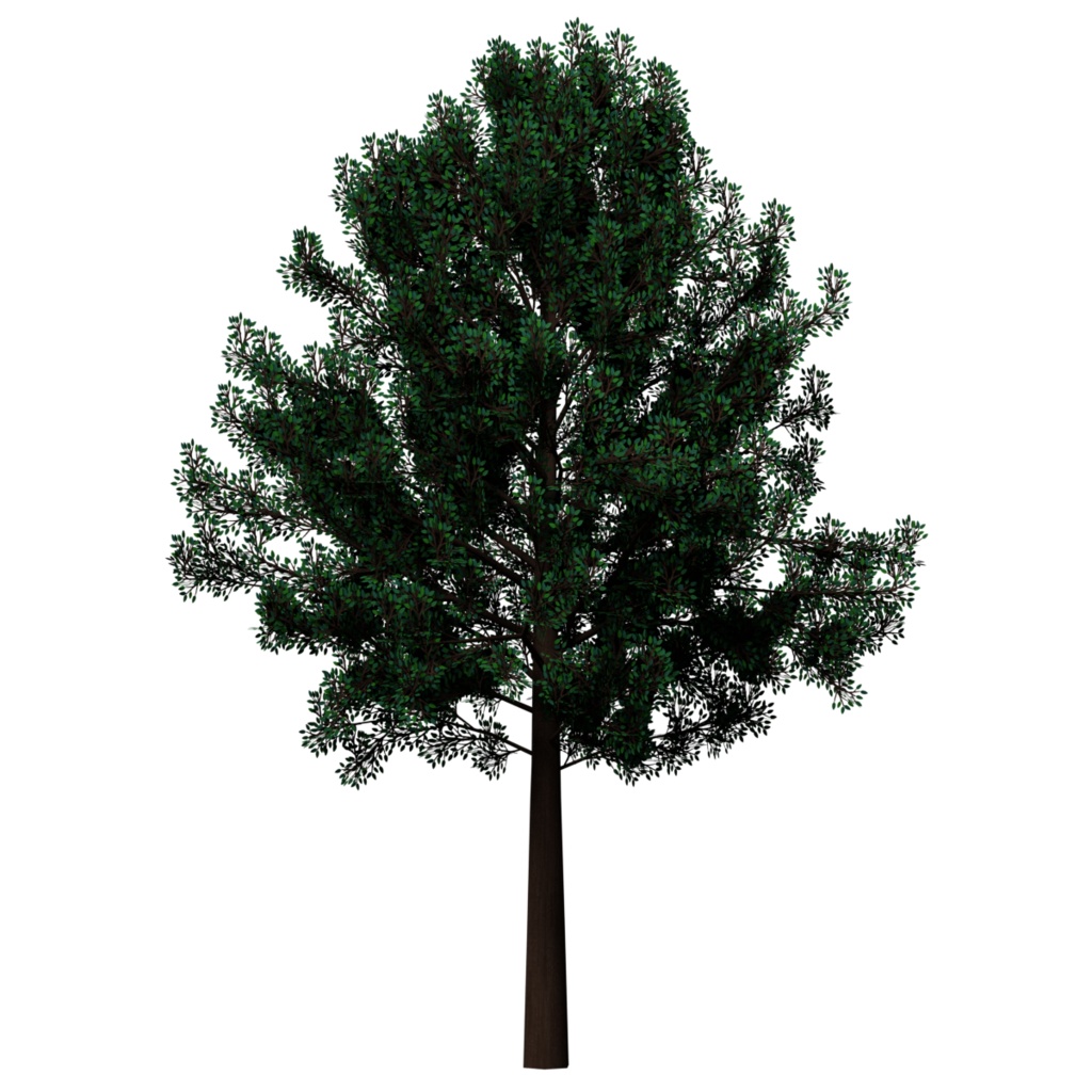 樹木&低木 / Trees & Shrubs