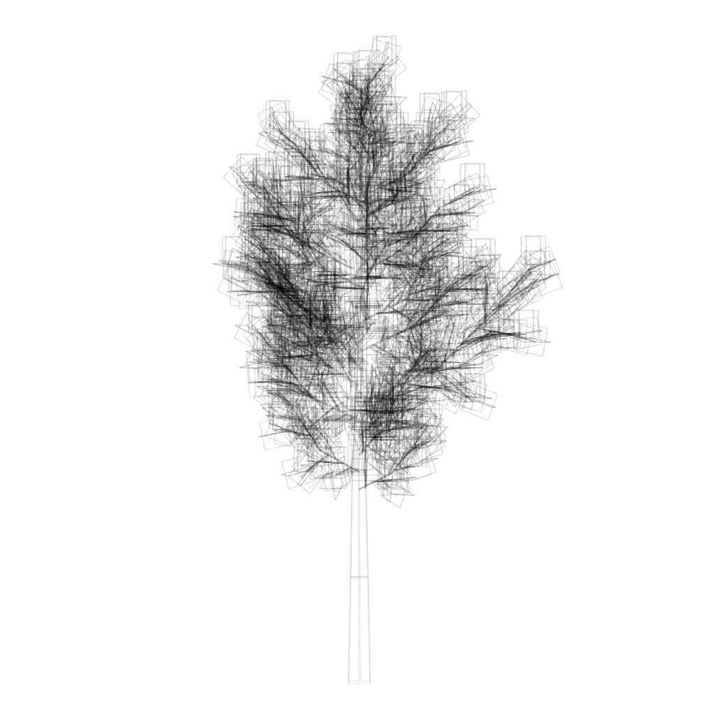 樹木&低木 / Trees & Shrubs