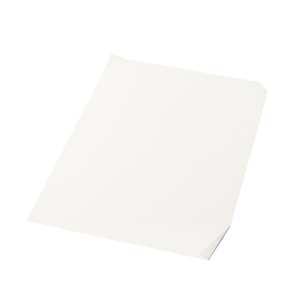 羽ペン / Quill pen