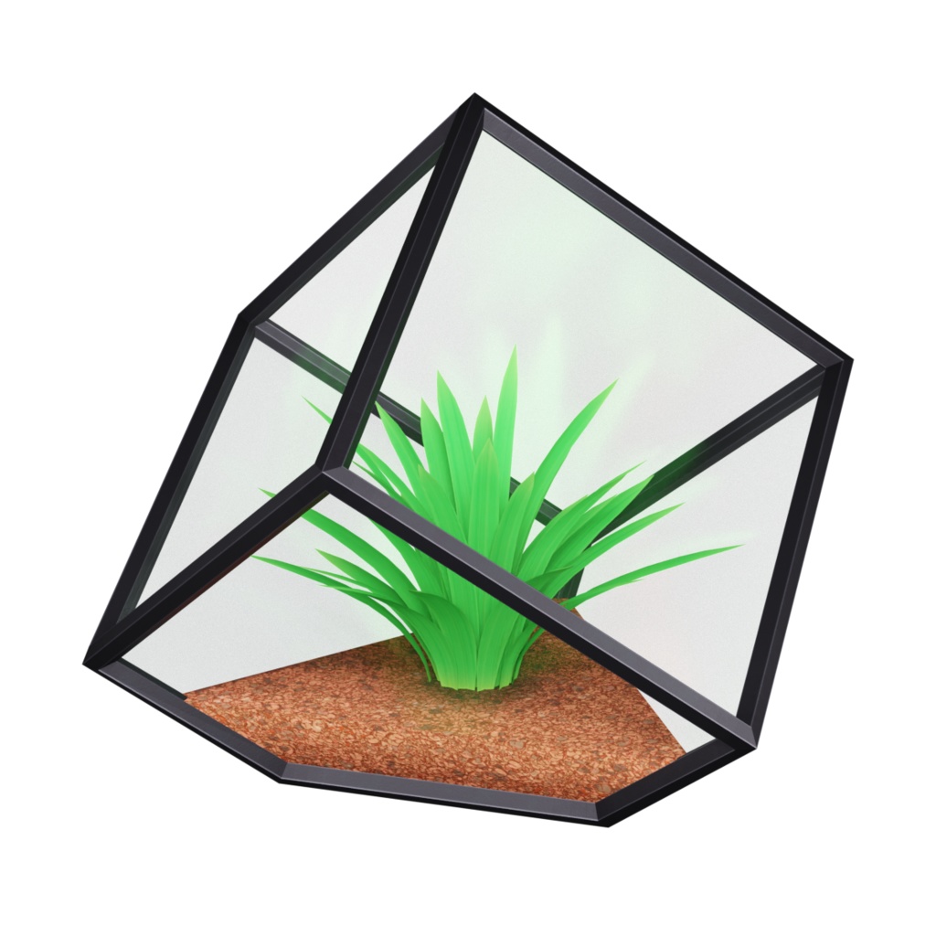 テラリウム / Terrarium
