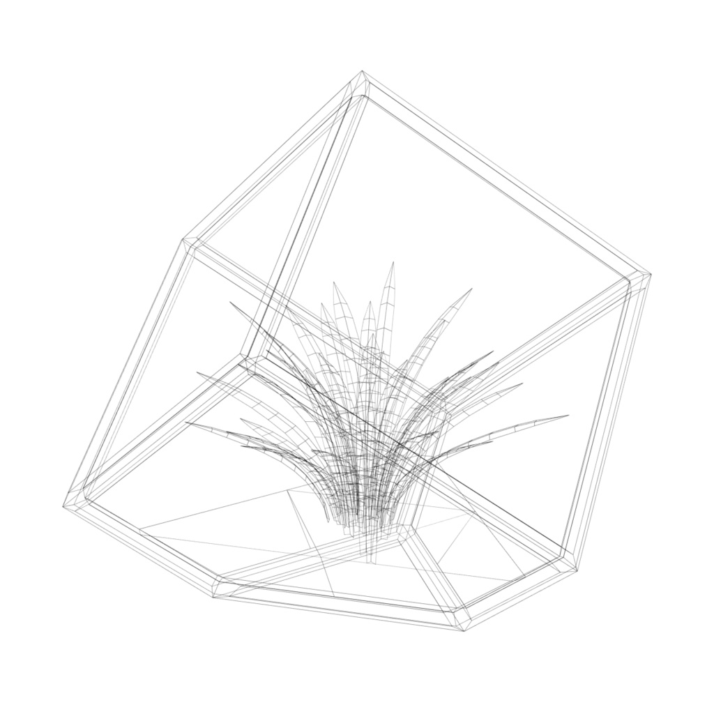 テラリウム / Terrarium