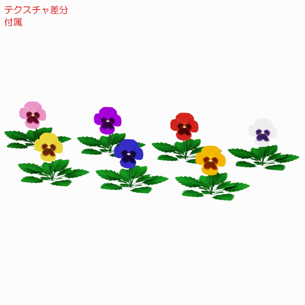 花 / Flowers