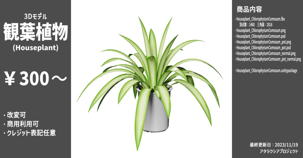 観葉植物 / Houseplant