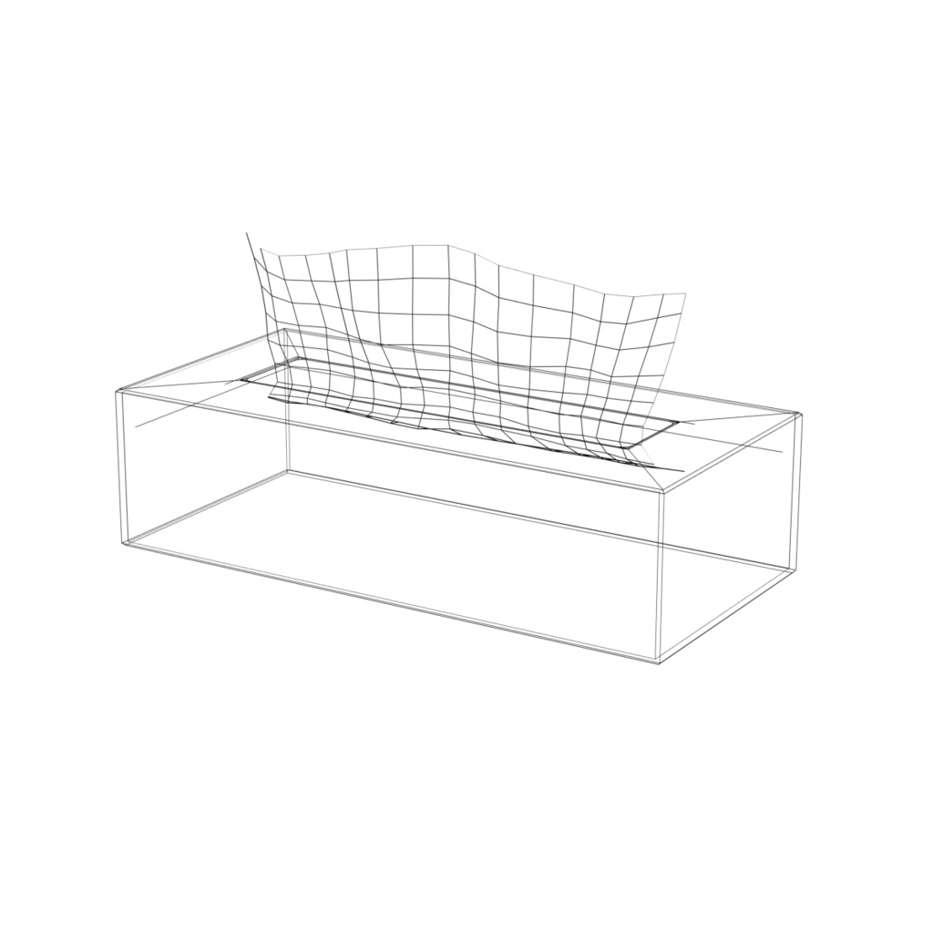 ティッシュ / Tissues