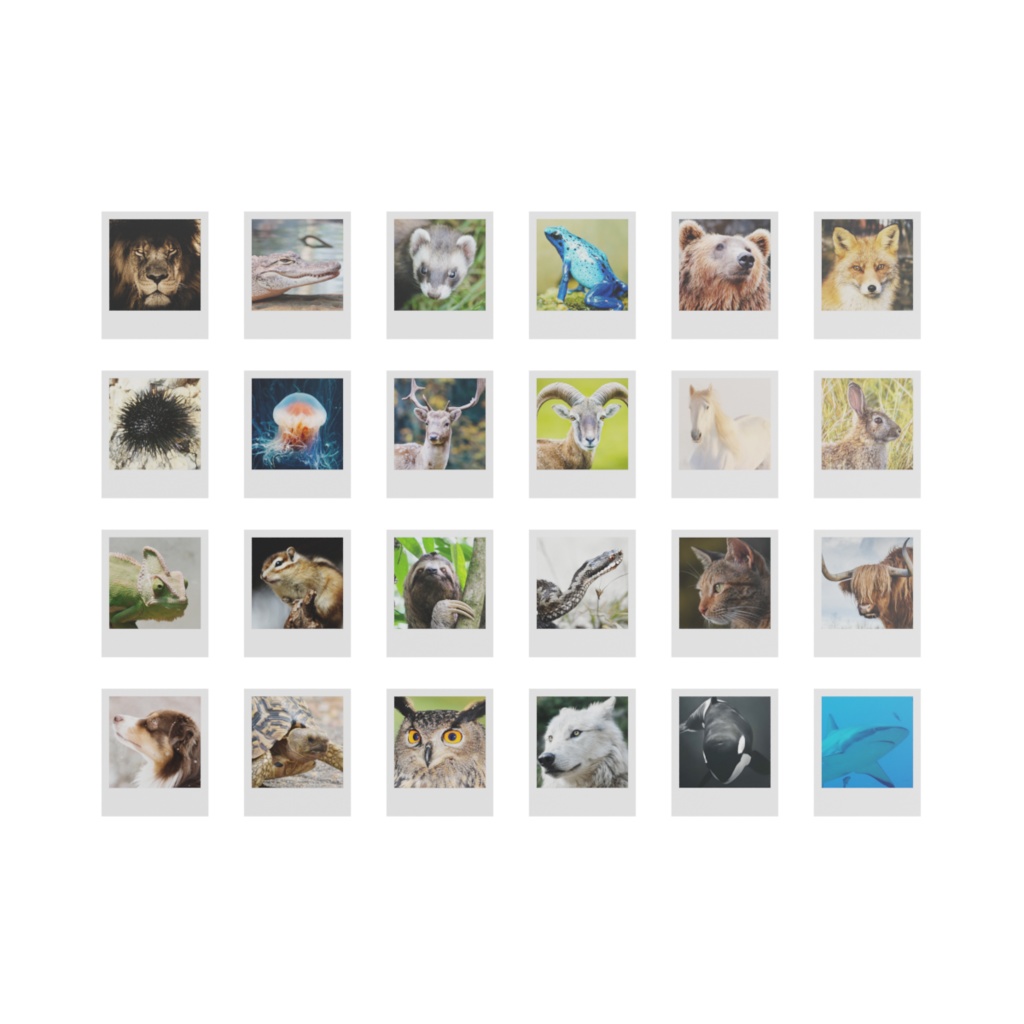 画鋲セット&コルクボード / Pushpin set & Cork board