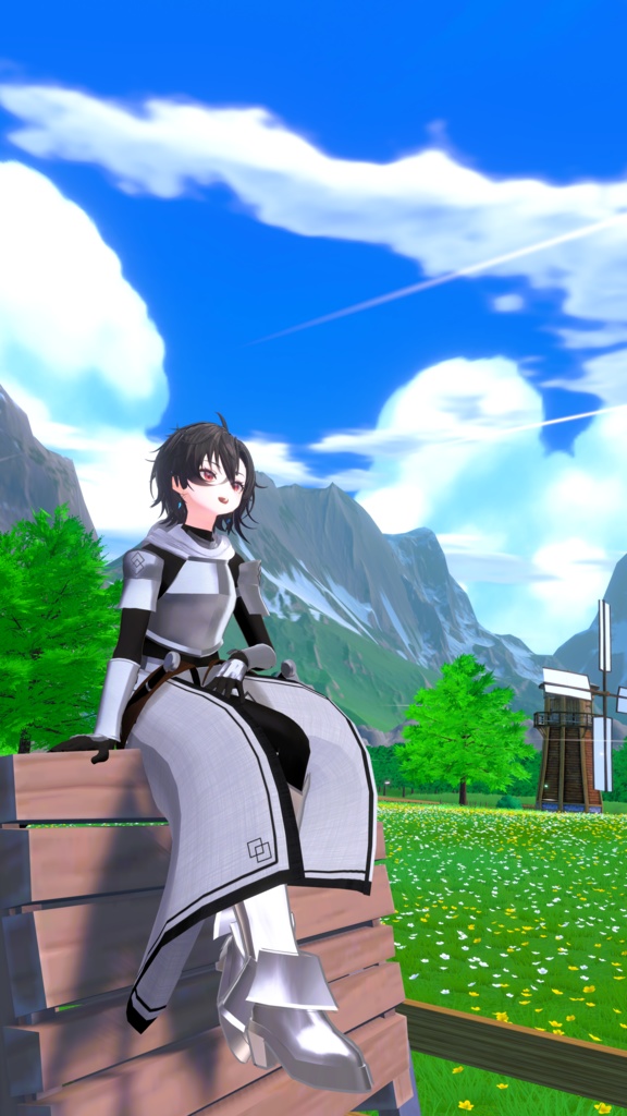 聖都騎士の鎧 & 聖騎士の武器