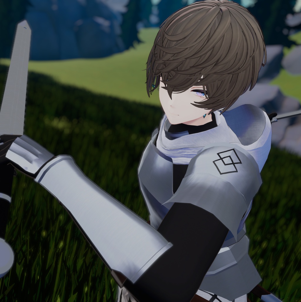 聖都騎士の鎧 & 聖騎士の武器