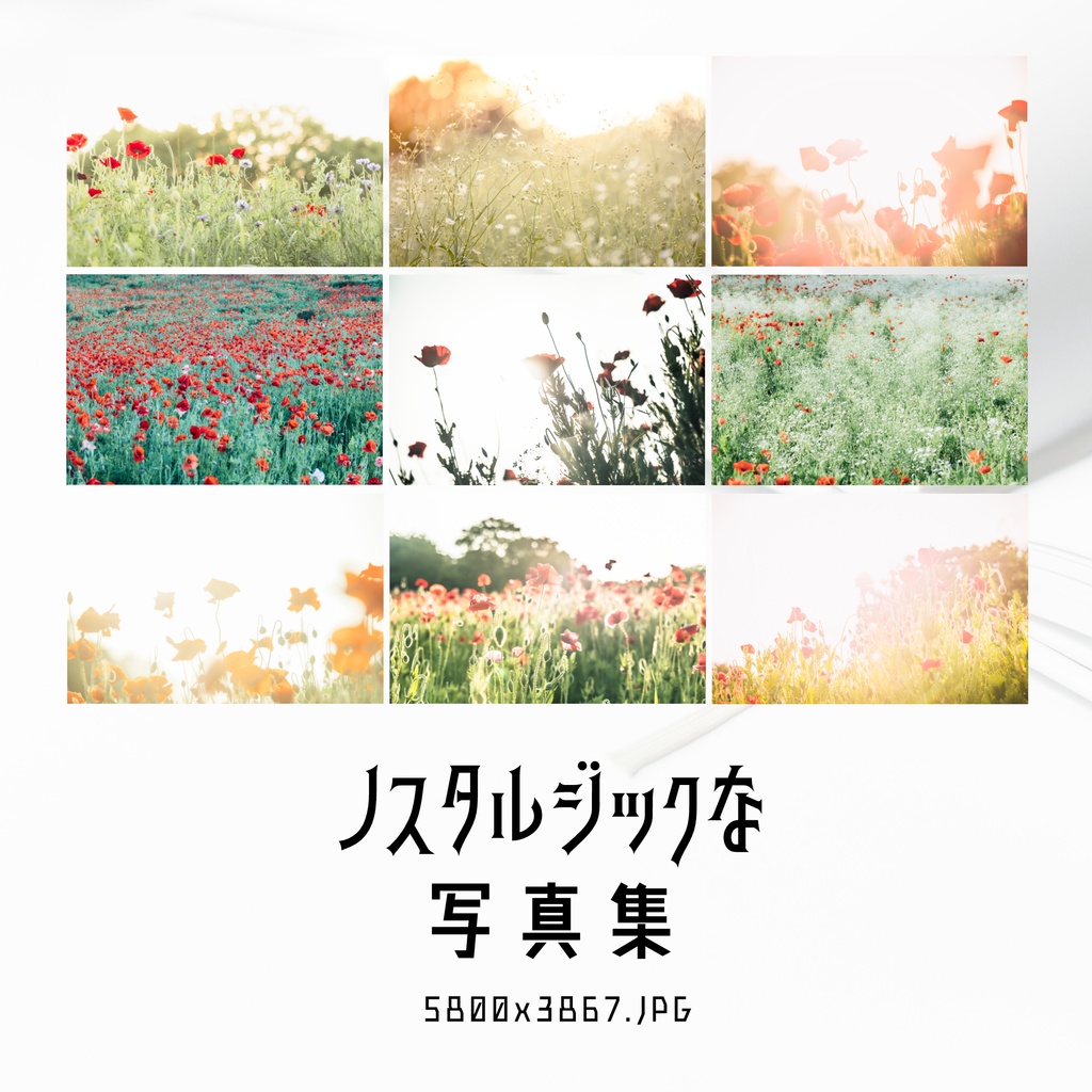 【全48枚】ノスタルジックな花畑写真