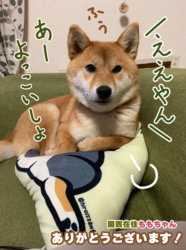 もちもち柴尻クッションカバー