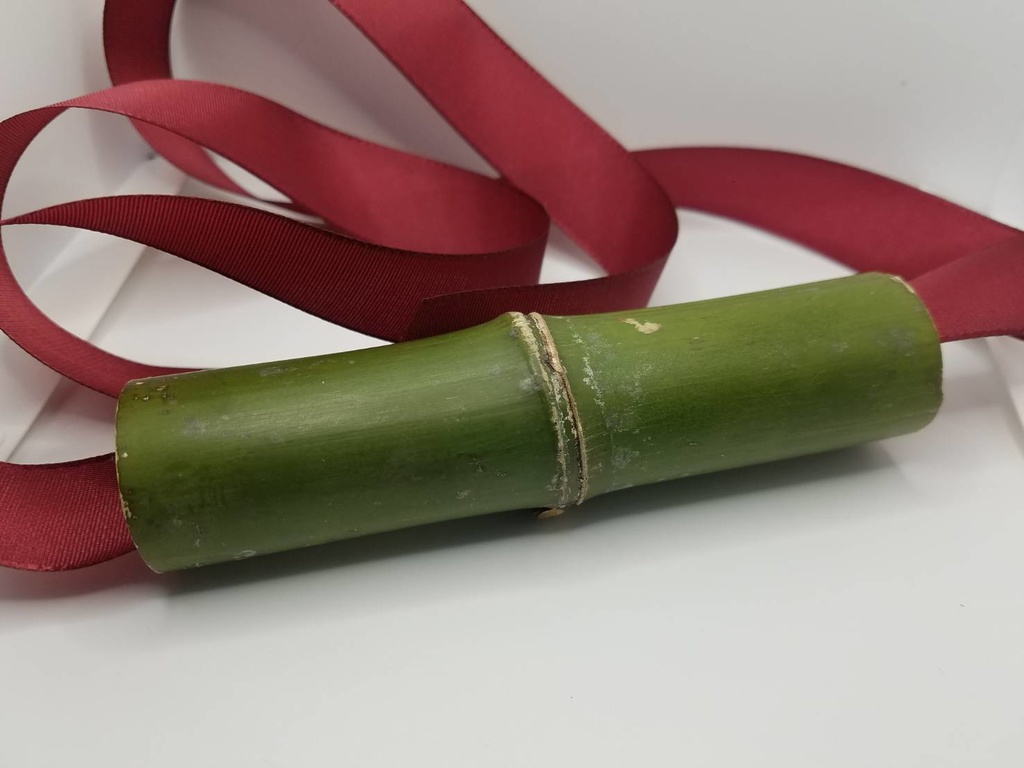 鬼滅の刃 竈門禰豆子ねずこ コスプレに使える本物の竹(孟宗竹)。竹林からお好みの竹探します