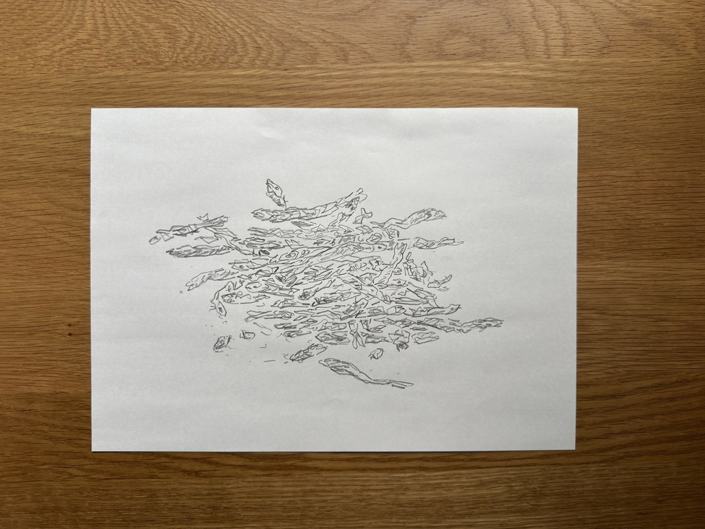 Drawing 06“ニボシ/dried small fish“1.2024