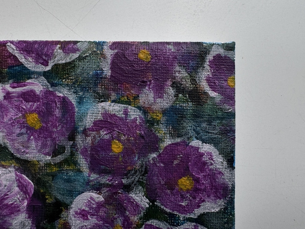 《近所のパンジー》“Pansy”