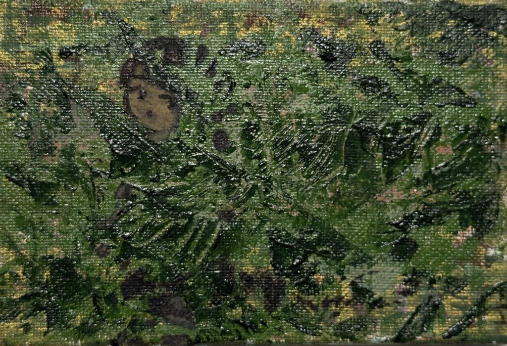 《植物図鑑》“Plant Encyclopedia”