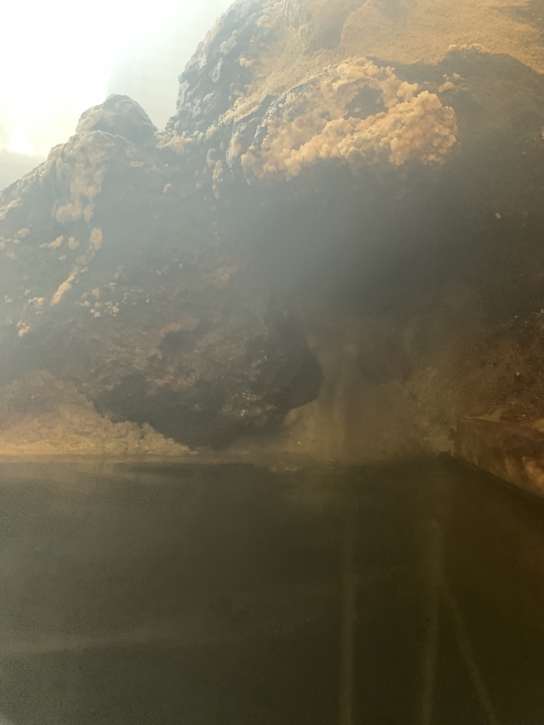 草津温泉 湯元館の貸切風呂に流れる湯音　