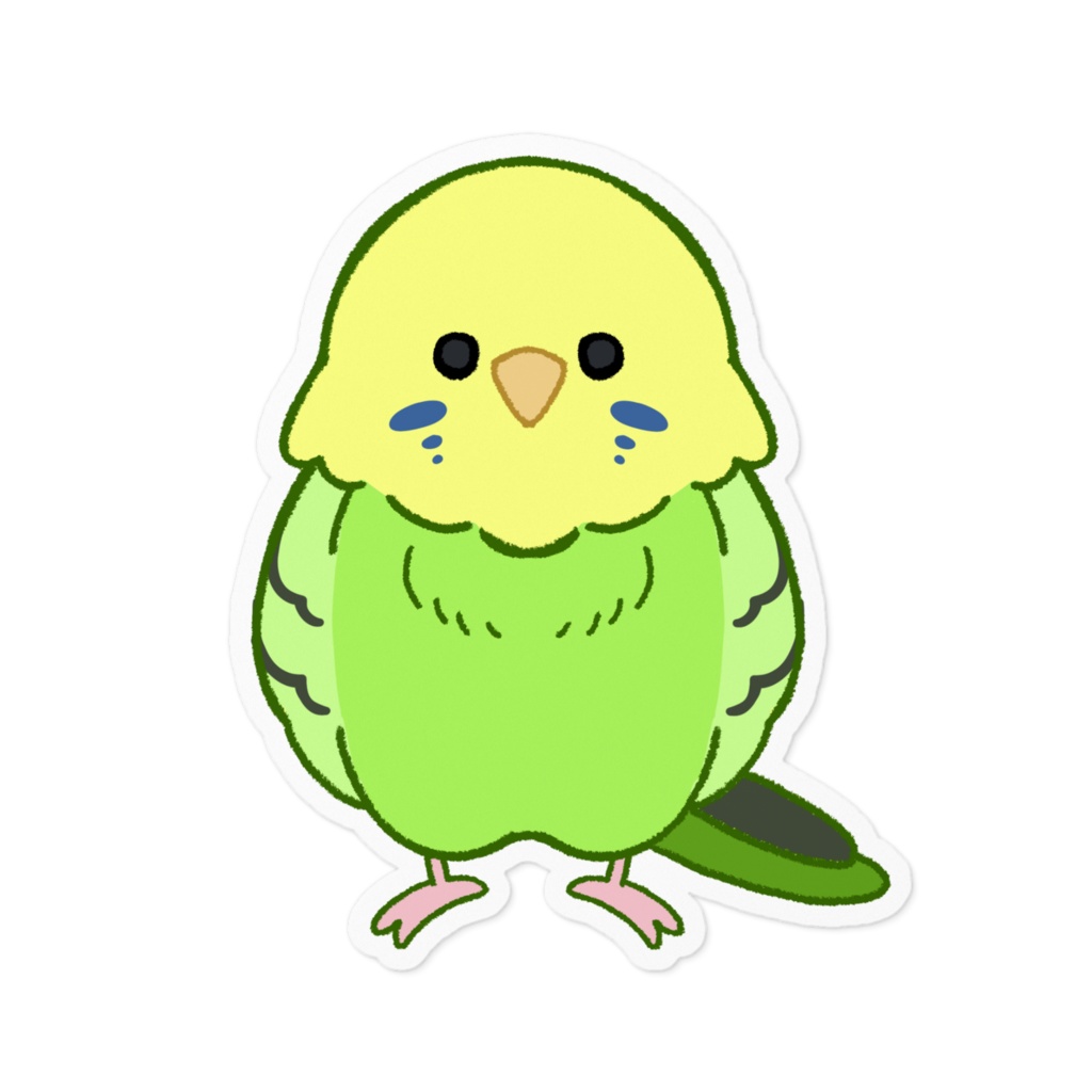 セキセイインコ(グリーン)