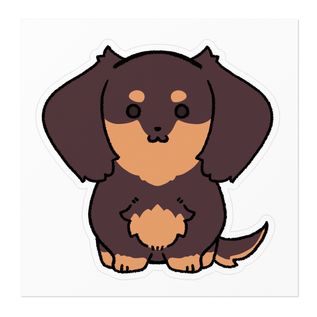 ダックスフンド(チョコタン)