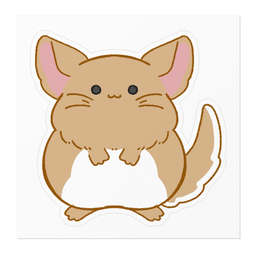 チンチラ(シナモン)