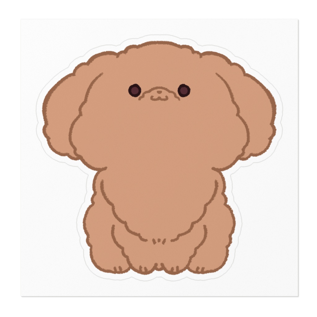 トイプードル(アプリコット)