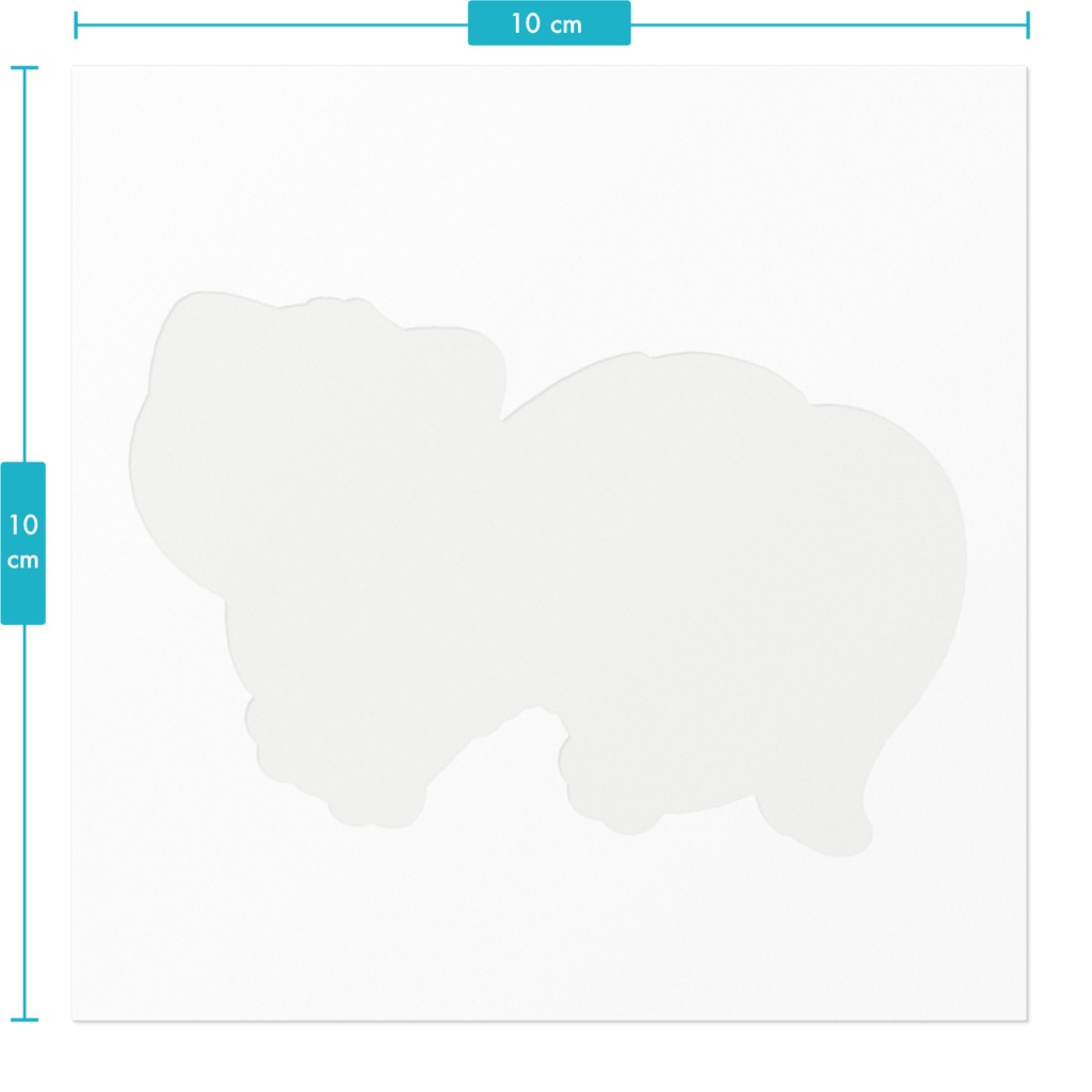 フェレット(アルビノ)