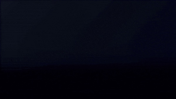 ๐ฉโพ๐ช | PROJECT: BLOOM (๐๐๐
๐) ๐ฐ๐ข๐ญ๐ก ๐๐จ๐ ๐จ๐ฅ๐จ๐๐จ | 5 ๐๐ฎ๐ญ๐๐ข๐ญ๐ฌ 60+ ๐๐จ๐ ๐ ๐ฅ๐๐ฌ